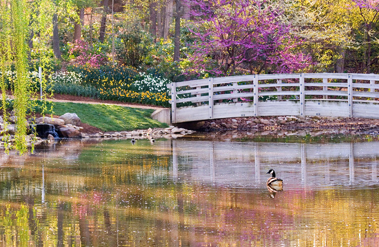 Edith J. Carrier Arboretum, United States